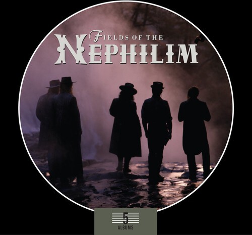Album box set fields - album,