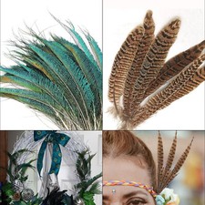 10x Faisan / Paon Naturel