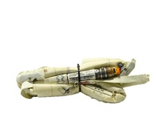 Air bag rideau droit LAND