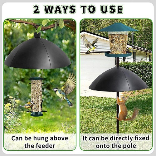 Mangeoire oiseaux - mangeoire, à