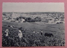 TH890) CPA CHAMPAGNE POMMERY &