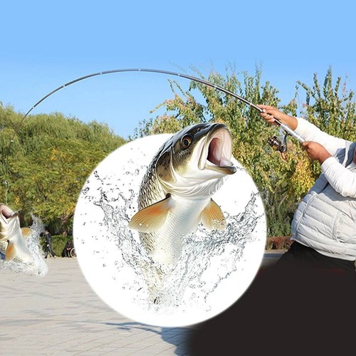 Canne pêche télescopique - canne,