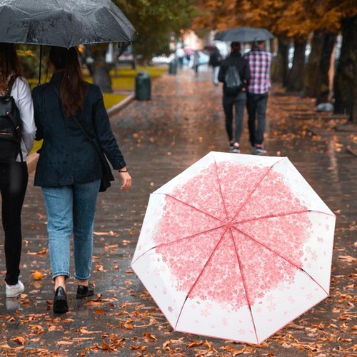 Parapluie transparent - parapluie,
