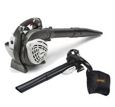 Aspirateur Souffleur de