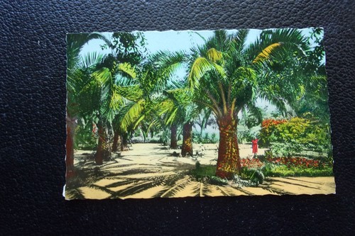 Algerie carte postale - algerie,