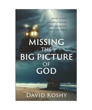 Missing the big picture - the, of