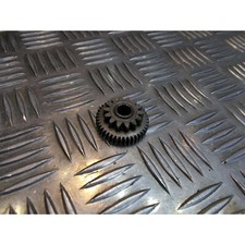 pignon entre roue libre et