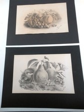 DESSINS - PAIRE NATURES MORTES A LA PIERRE NOIRE -DATEES - 19ème SIECLE -D 244