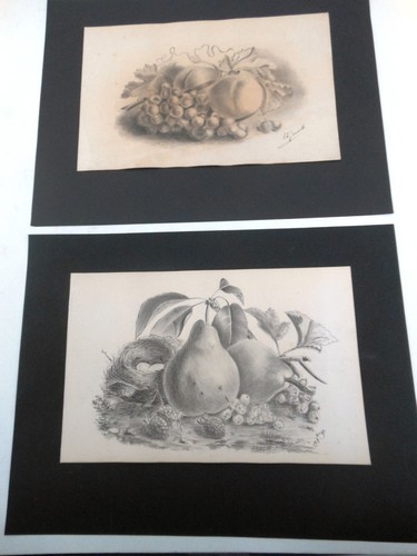 Dessins paire natures mortes - paire,