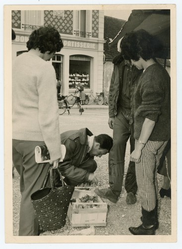 Photo photographie marché - photo, photographie,