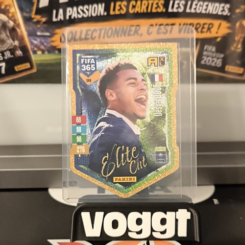 Panini adrenalyn fifa - panini,