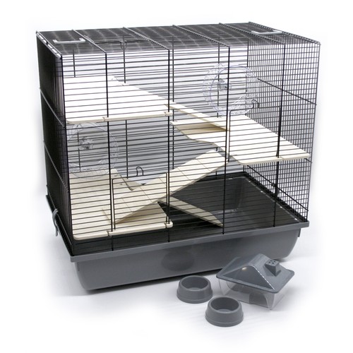 Cage rongeur petits - petits, animaux