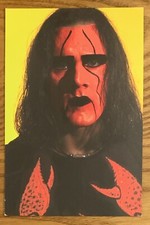 STING, RARE ! 1998 PANINI 4" x 6" PHOTO, EXCELLENT CONDITION, WOW 