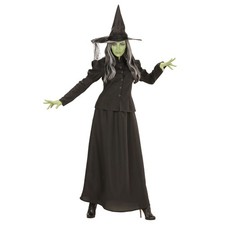Costume sorcière, conte de