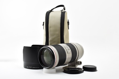 Top mint case - mint, canon