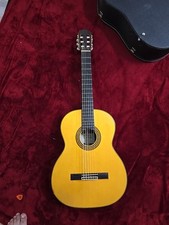 Classical Acoustic Guitar