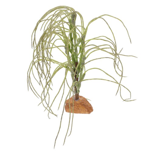 Fournitures pour terrarium - fournitures,