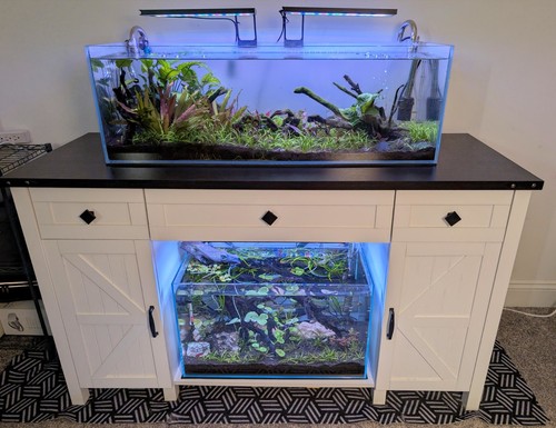 55g dual aquarium setup - dual, w/