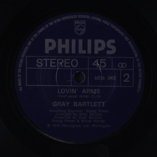 Gris bartlett guitare boogie - gris,