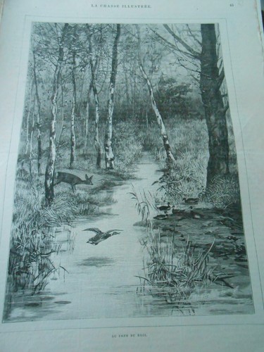Engraving 1888 hunting - engraving, at