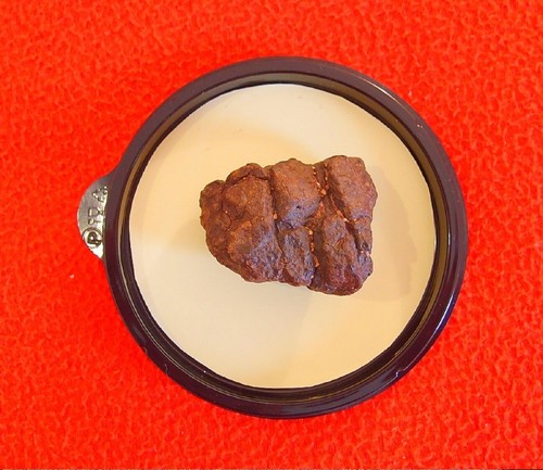 Météorite chondrite