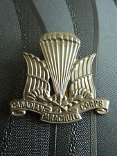 INSIGNE MILITAIRE BARETTE