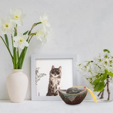 Urne Pour Cendre Chien Urns