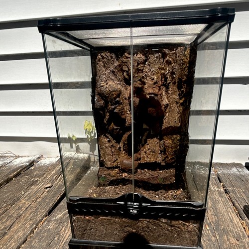 Exo terra glass - terrarium, with