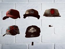 Support mural / présentoir collection casquette de baseball