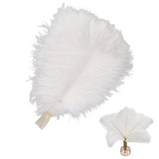 Plumes d’Autruche 10 Pièces