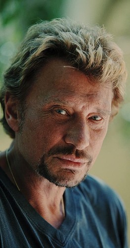 Photo johnny hallyday rock - hallyday,