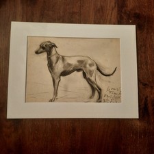 Dessin Ancien Animalier Fond