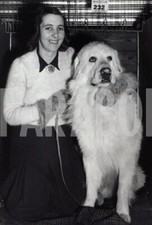 Photo De Presse Vintage