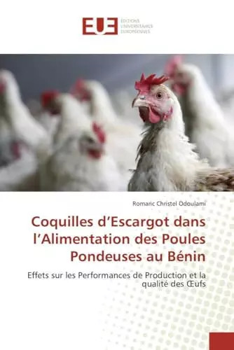 Coquilles escargot dans - coquilles, d’escargot