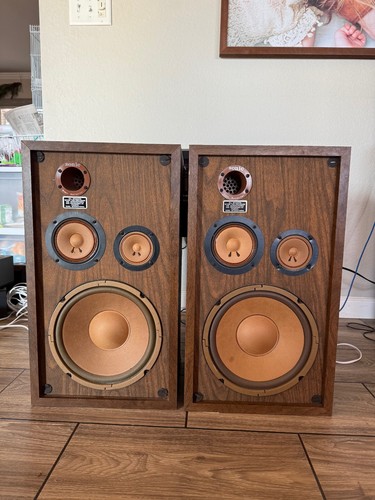 Vintage pioneer sonic - sonic, bass