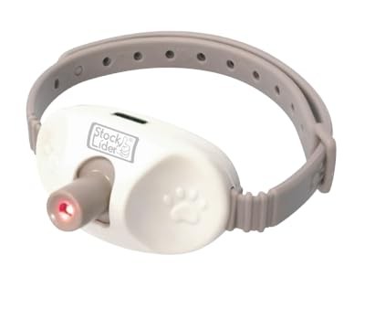 Collier laser pour chats
