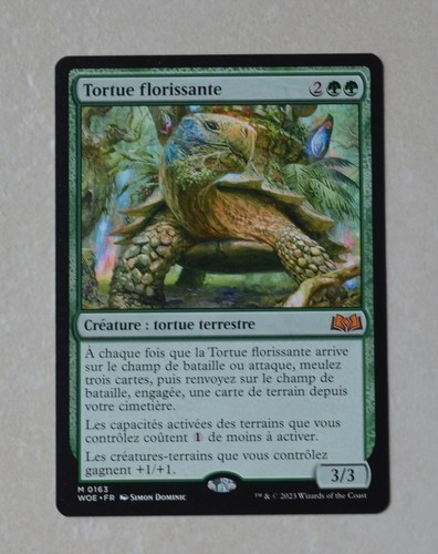 Tortue florissante carte - -,