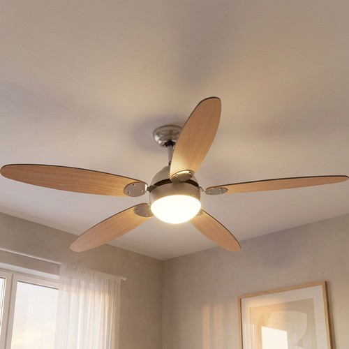 Globo ventilateur plafond - ventilateur,