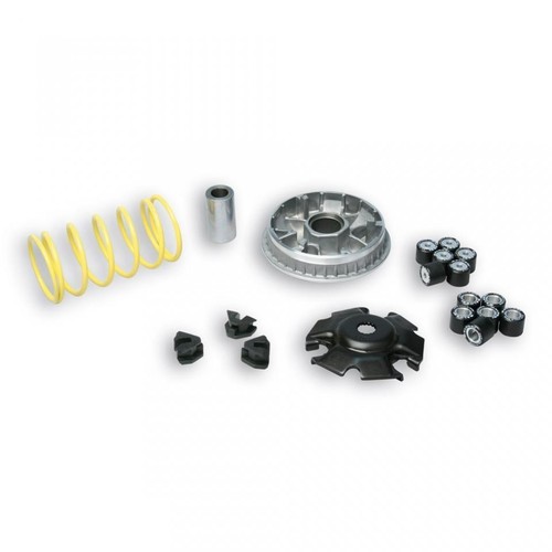 Variateur malossi pour - variateur,