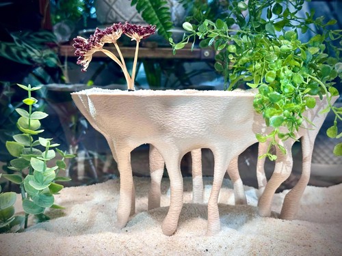Mangrove style raised roots - mangrove-style,