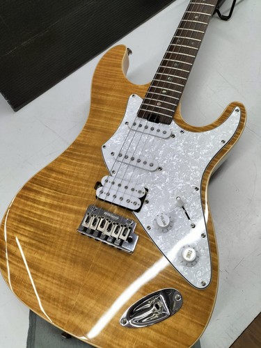 Aria pro guitare - pro, ii]