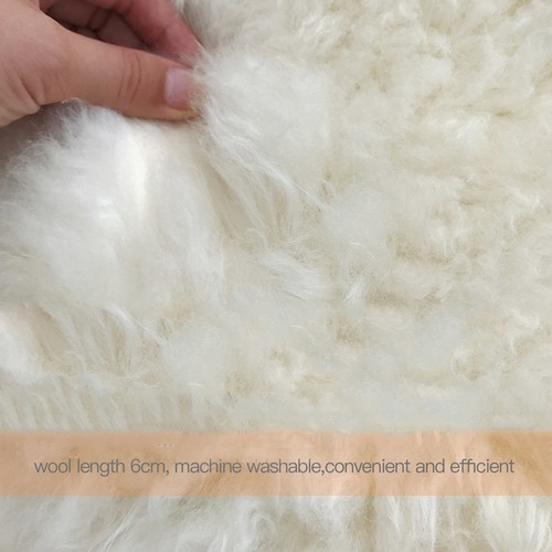 Peluche véritable mouton - mouton, et