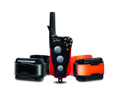 Collier dressage dogtra iq - de,