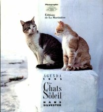 Les chats du soleil . Agenda