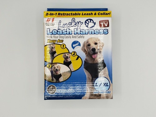 Lucky leash harness seen - leash, on