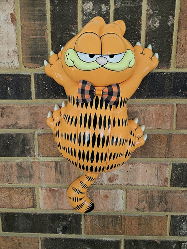 Garfield brings a smile - garfield,