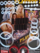 FLIPPER STERN- PLAYBOY-