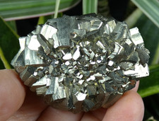 Pyrite Dorée flottant Wuzhou