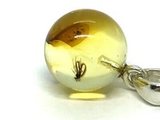 PENDENTIF AMBRE INSECTE cadeau