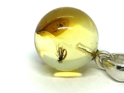 Pendentif ambre insecte cadeau - pendentif,